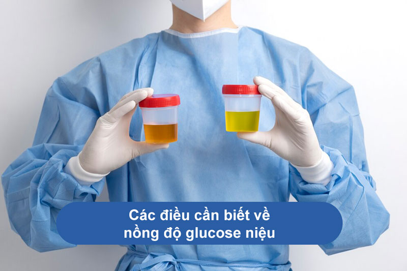 nồng độ glucose niệu